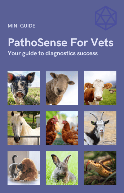 Mini guide diagnostics (1)