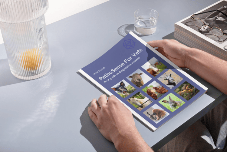 Untitled design (13)-1